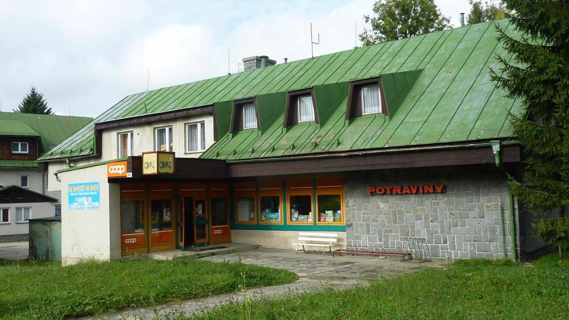 Penzion Tendr Destne v Orlickych horach Bagian luar foto